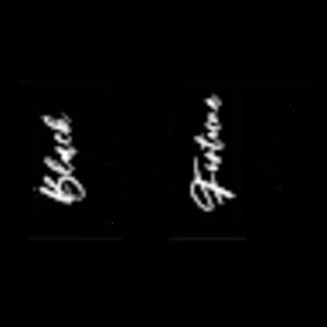 Meet your Posher, Lester